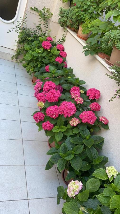 Apartment Pearl Of Split Dış mekan fotoğraf